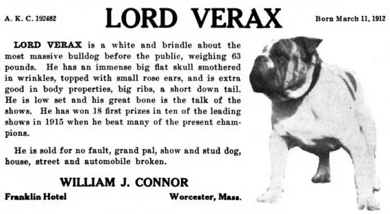 Lord Verax