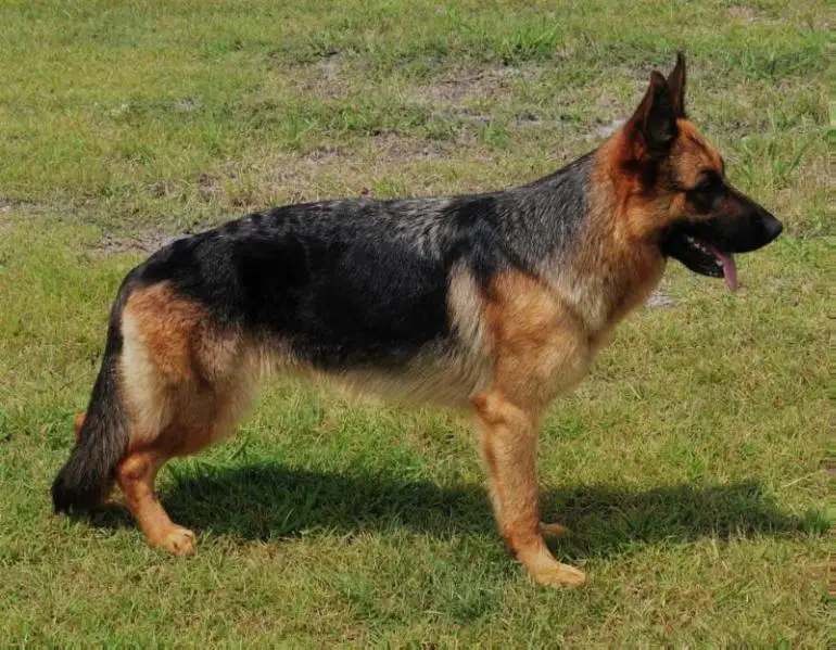 VP NASS Catja von Hirschberg