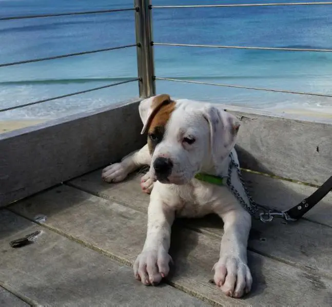 Belles Creek Secret Crush