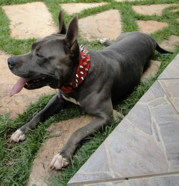 Donna Duran Ponte Alta DF