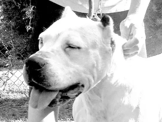 Mora del Talamochita