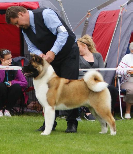 Olenskjold's Johnny Be Good