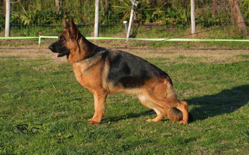 V Belen di Chiara Sorgente