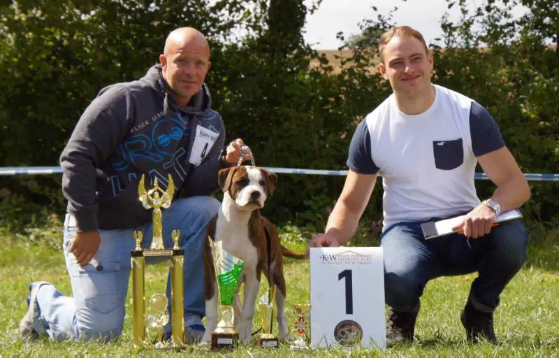 WhiteCrazyBulls Annabelle