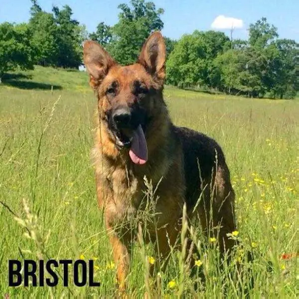 Bristol Von Riverbend
