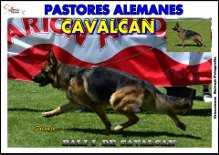 bali l de cavalcan