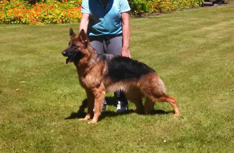 Von Hilda of Chinook Valley Farm