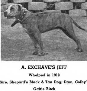 A. Exchave's Jeff (1918)