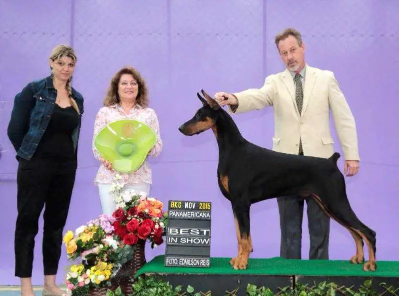 Double D Paint Black