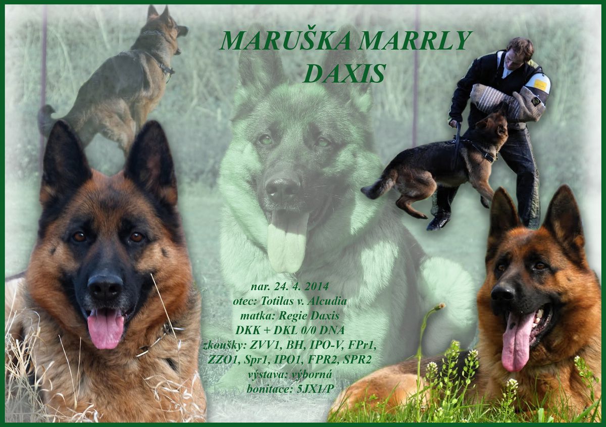 MARRLY DAXIS