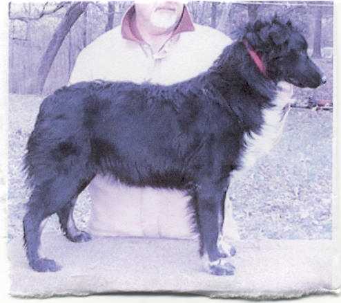 Fairoaks Magnolia Song