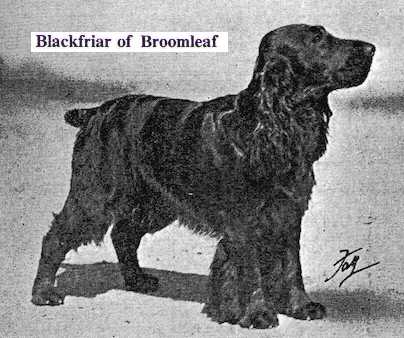 Blackfriar of Broomleaf