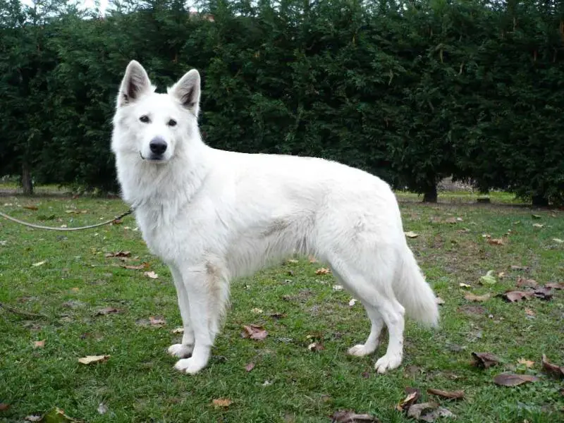 Porto di Chiara Sorgente