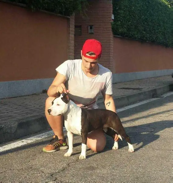 Hot Family Rockabilly Morgana