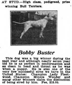 CH Bobby Buster (054872)