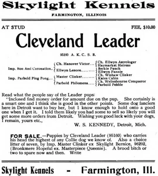 Cleveland Leader (095160)