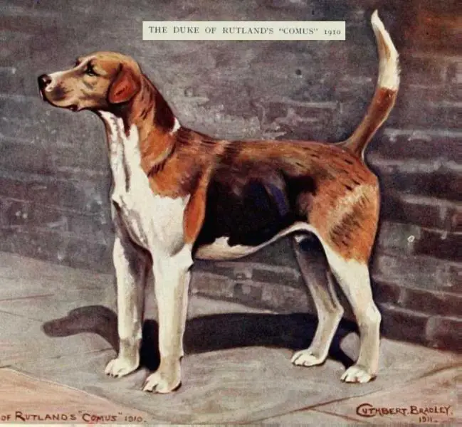 The Duke of Rutland's Comus (1910)