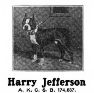 Harry Jefferson 174837