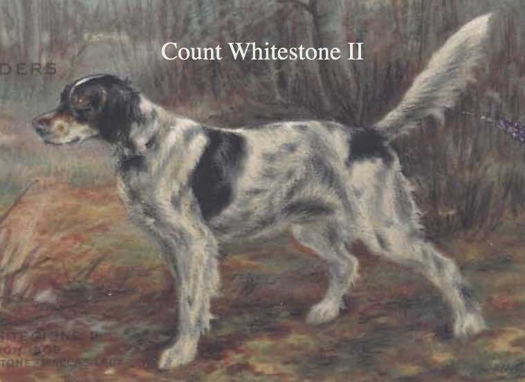 Count Whitestone II