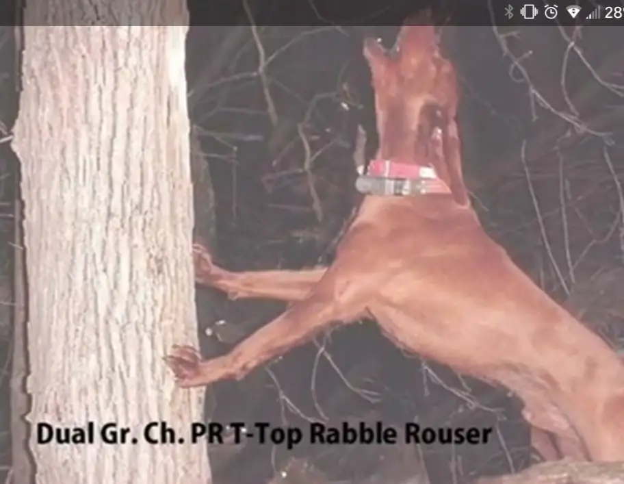 GRNITECH GRCH T-Top Rabble Rouser
