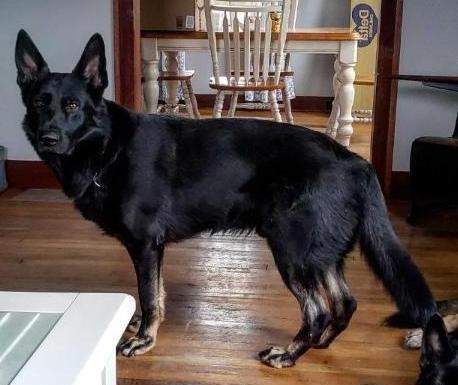 Icarus Z Hrdinneho Odvahy