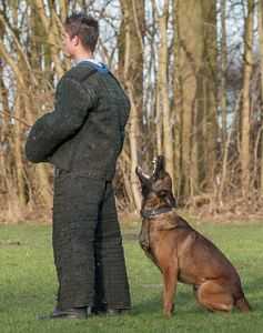 Lando Perle de Tourbiere