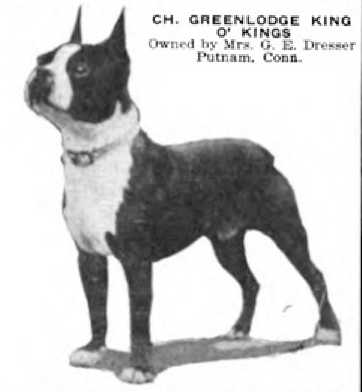 CH Greenlodge King O'Kings