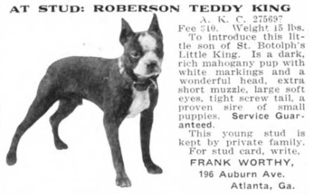 Roberson Teddy King 275697