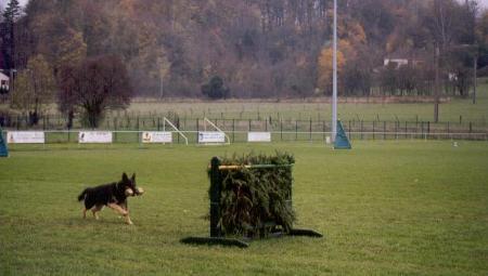 COT. 2 Dieta vom Wimbachtal