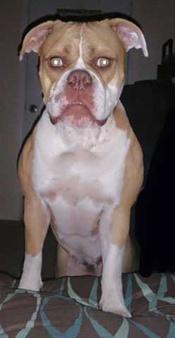 Brojanowski's Bad Karma of RLK