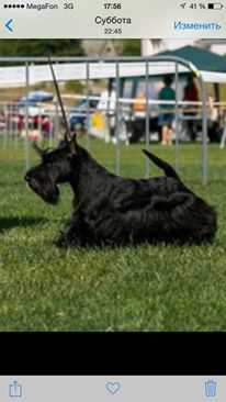 My Be Born To Be The Best