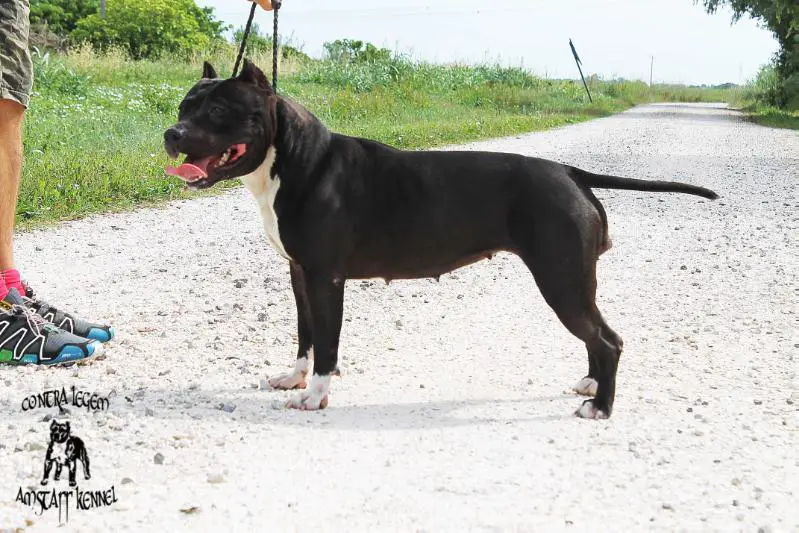 Written in the Stars Contra Legem