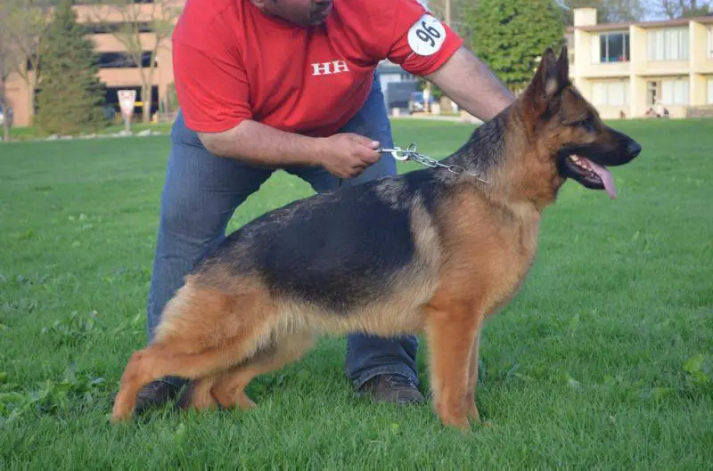 Kia von Huerta Hof