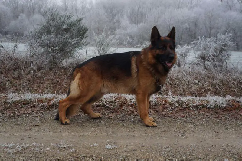 Isko de Font Martinier