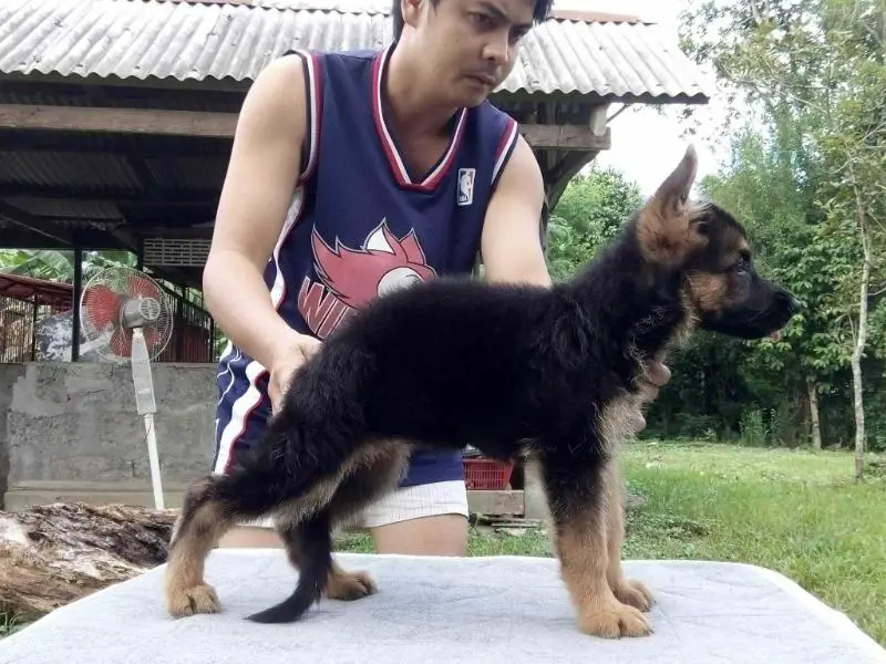 Jessica Van Der Vask