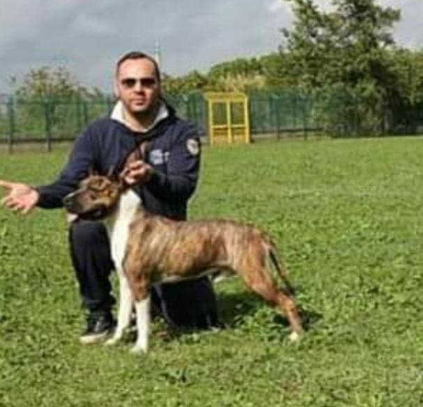 The Southern Ruffian Mammutt RR