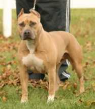 Ch Krohn's Untold Story of W Wind