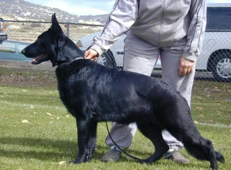 Onora Vom Grunenfeld