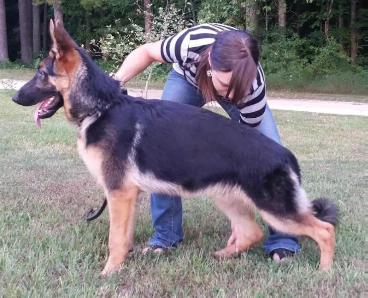 Gideon Vom Givenhaus