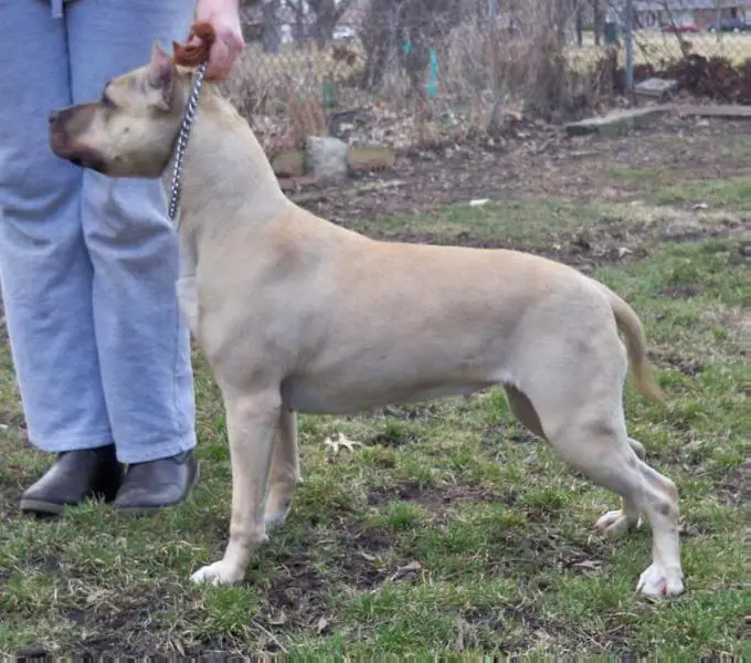 GrinNation Noble Born This Way