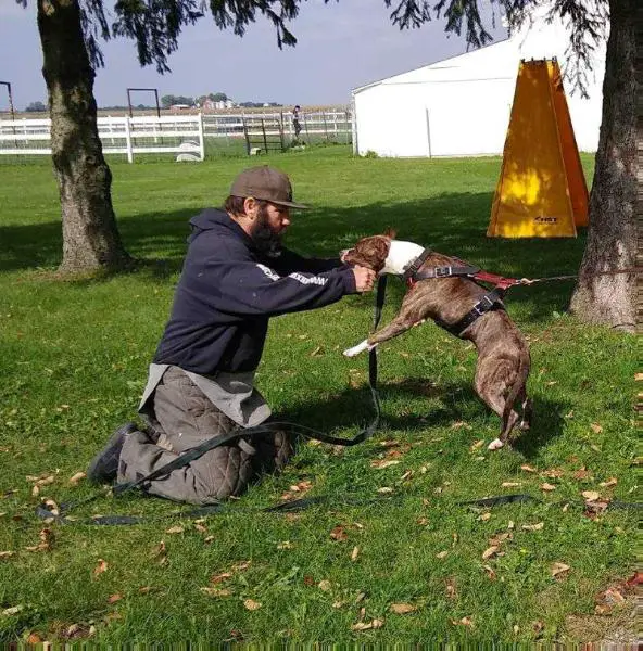 GrinNation Noble Day of Rebellion