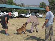 Dior vom hause Ritter