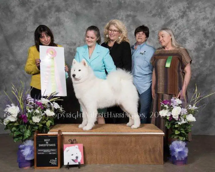 GCh Urban Pulse Strike the Canvas