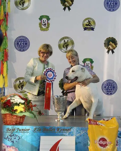 ELZ BULLET HABIRA RATU