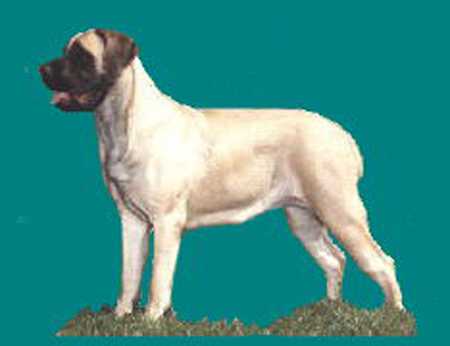 Storm Banner of Peersleigh