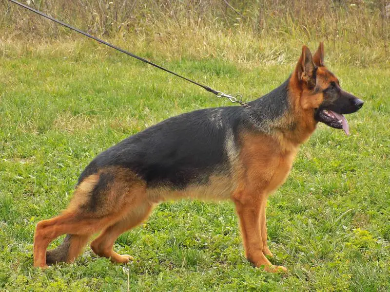 Hill von den zwei Steinen