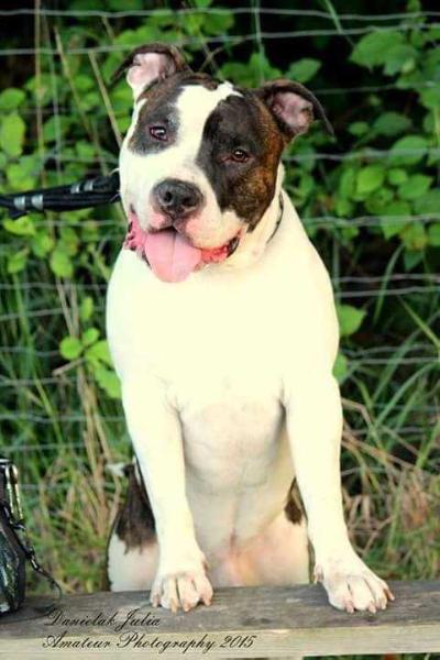 Immness FEELING GOOD