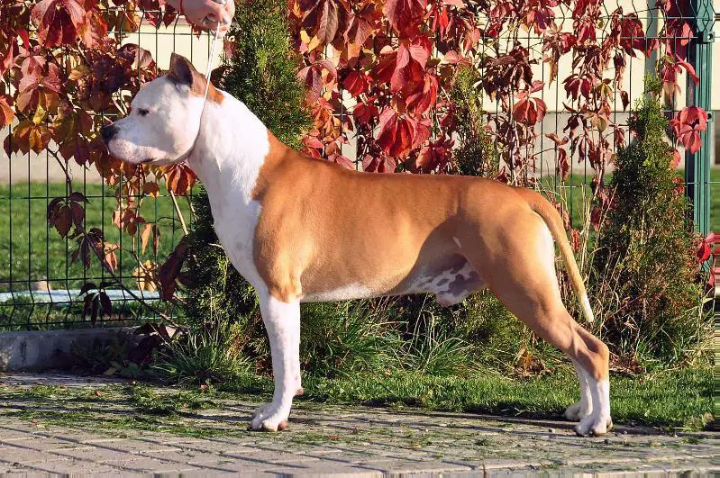 Mia Albachiara Lazzaro