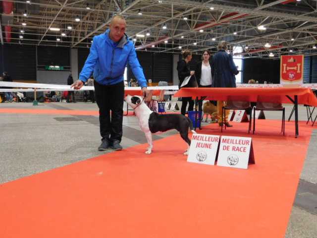 little girl balkan staff