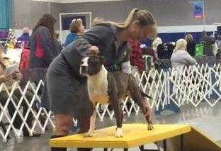 Divinity's Send My Love